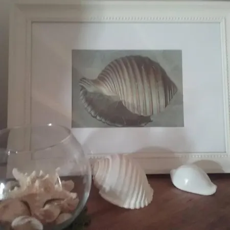 The Shell House Holiday home *